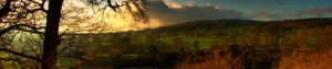 Sample Featured Image Used In The Header